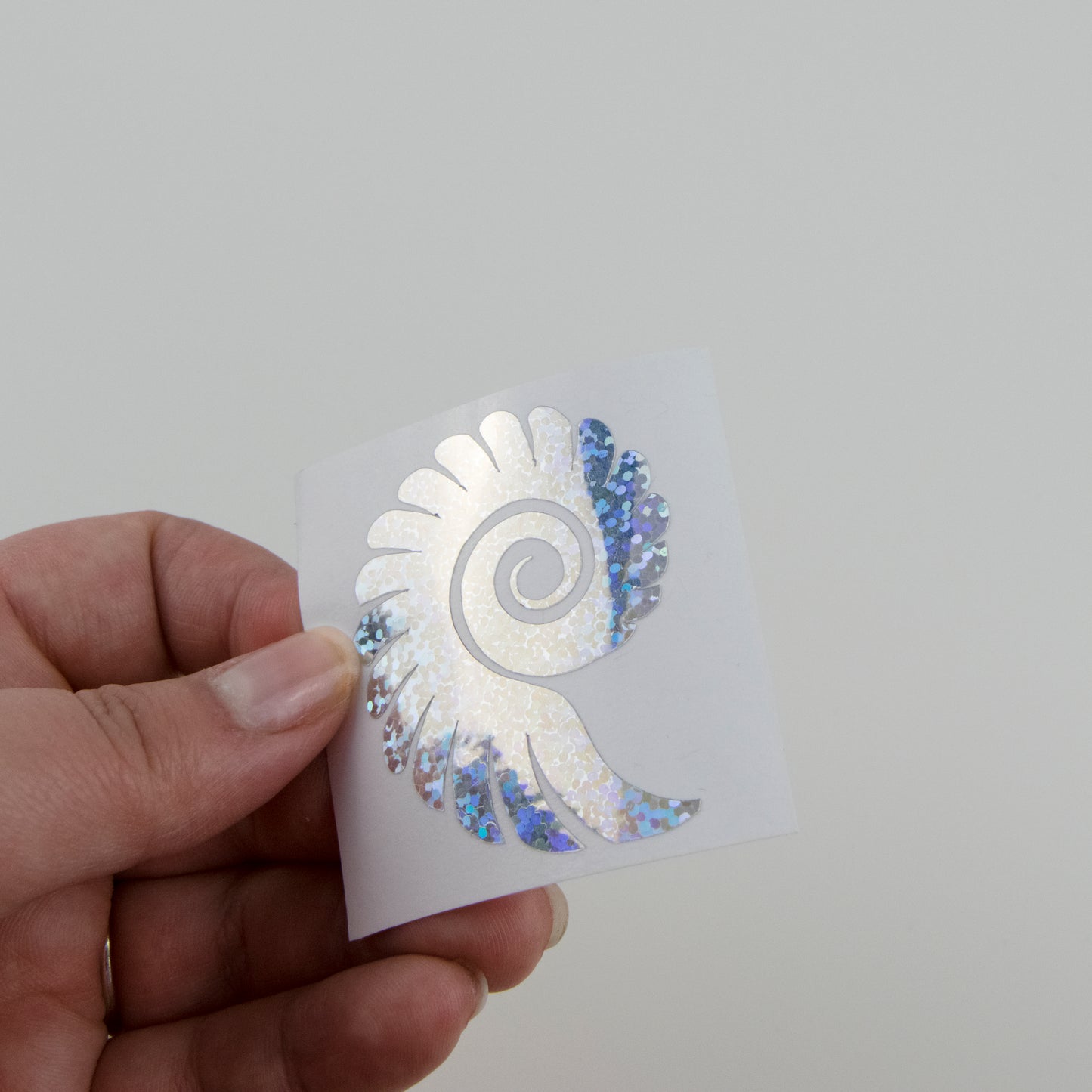 Seashell Vinyl Sticker decal