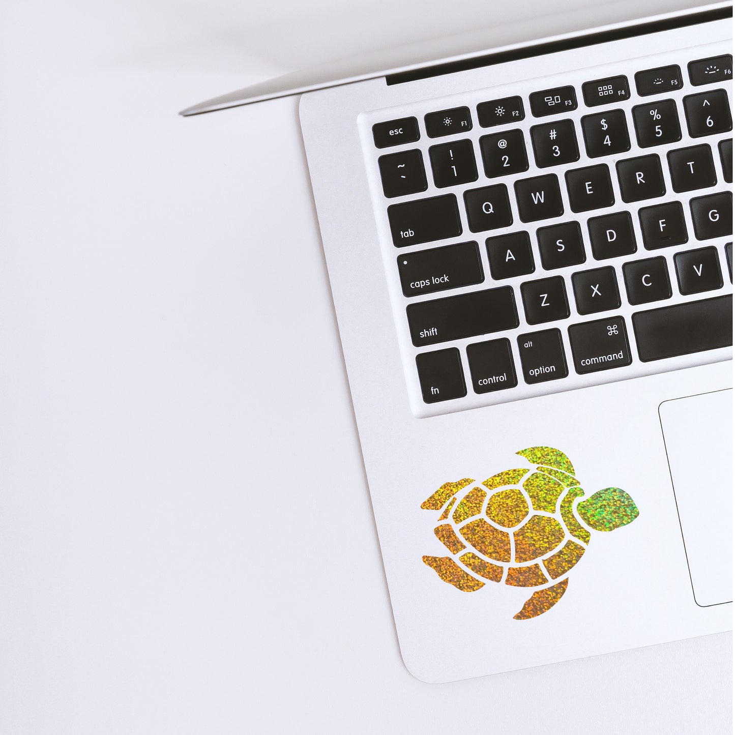 Turtle Vinyl Sticker decal